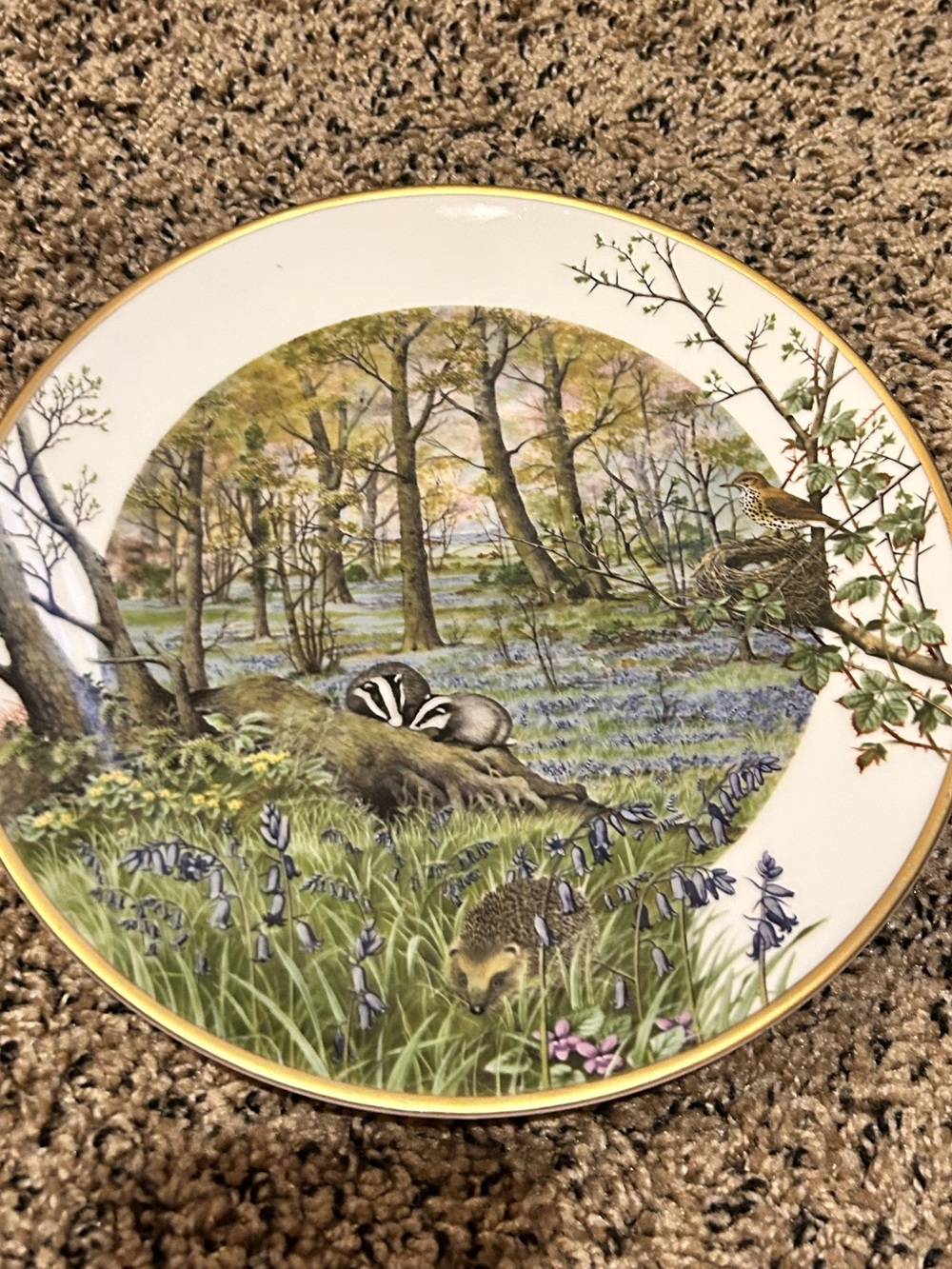 50%off w❤️ 1979 Peter Barrett Collector Plate The Woodlands In April Limited l